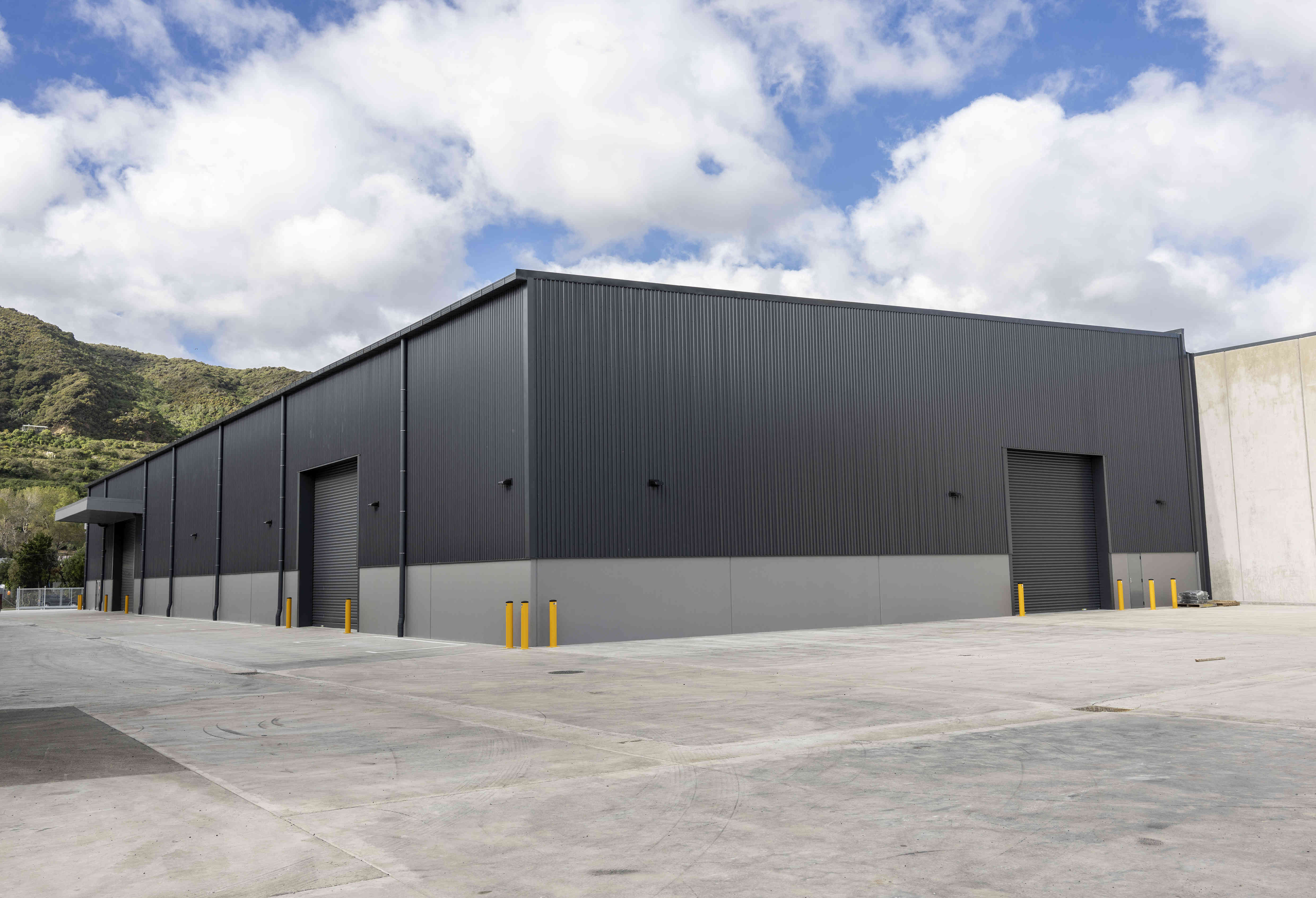New Industrial Building, Peterkin St, Taita